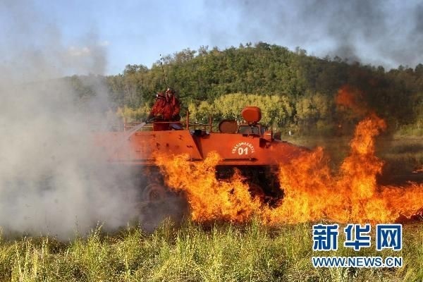 【動(dòng)畫】森林草原防火“十不準(zhǔn)”“五不燒”！這些安全知識(shí)要牢記